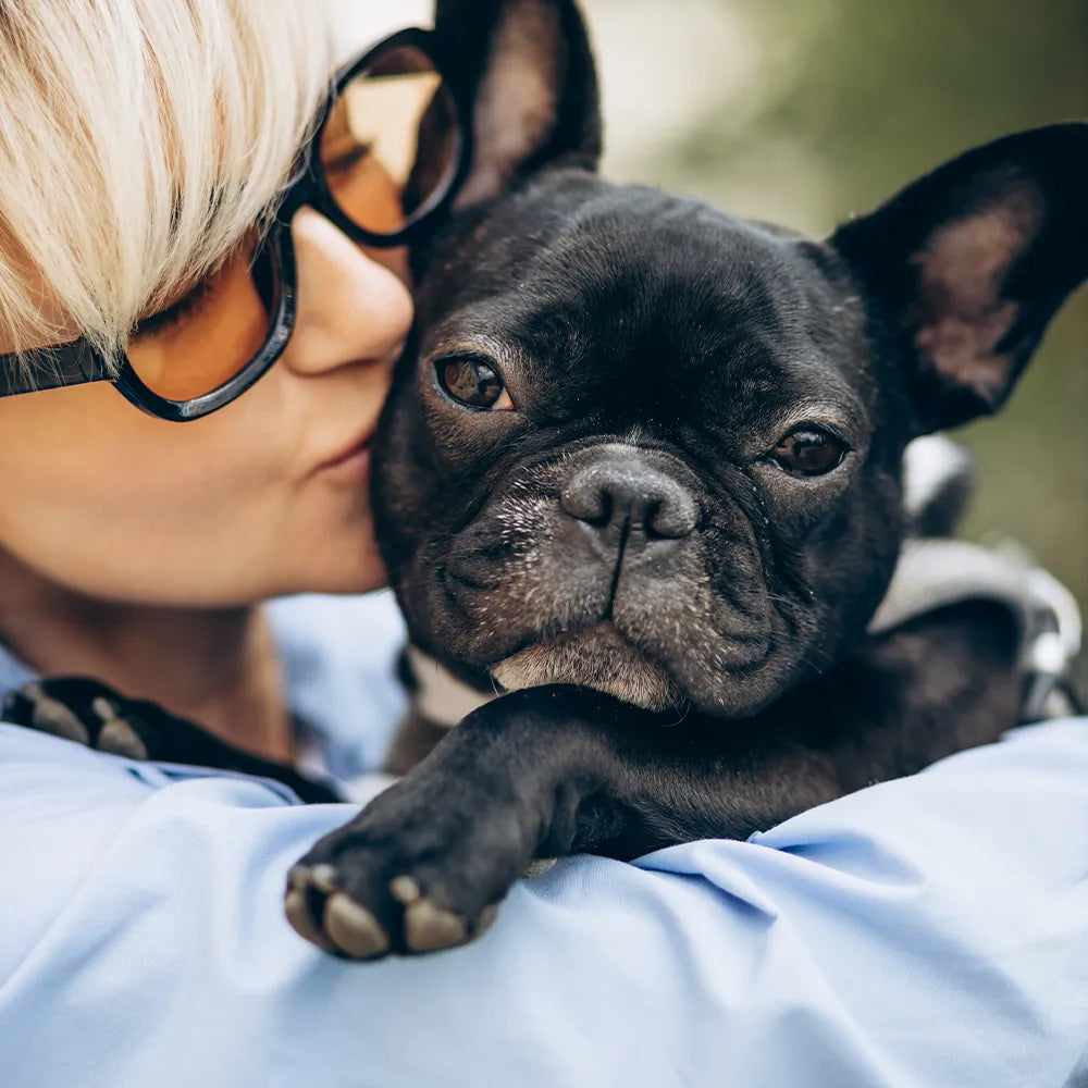 Prix d'un bouledogue français ?