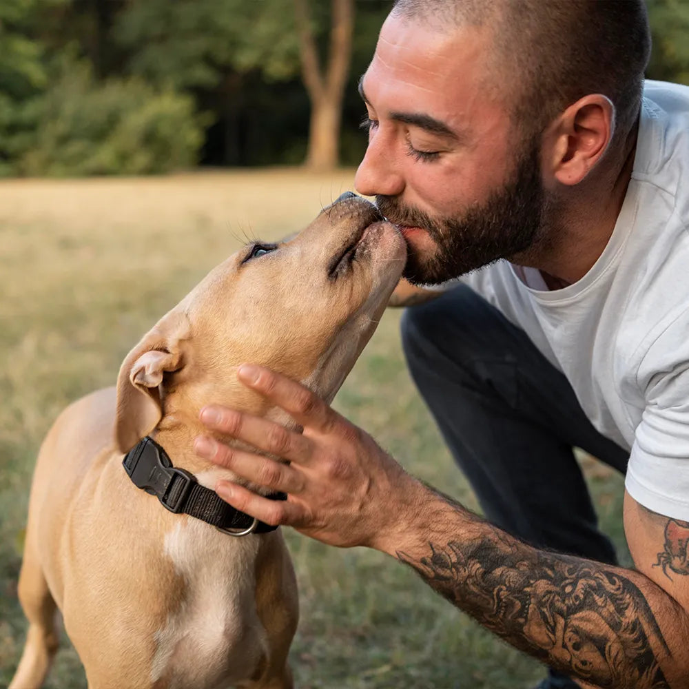 Pourquoi les chiens nous lèchent ?