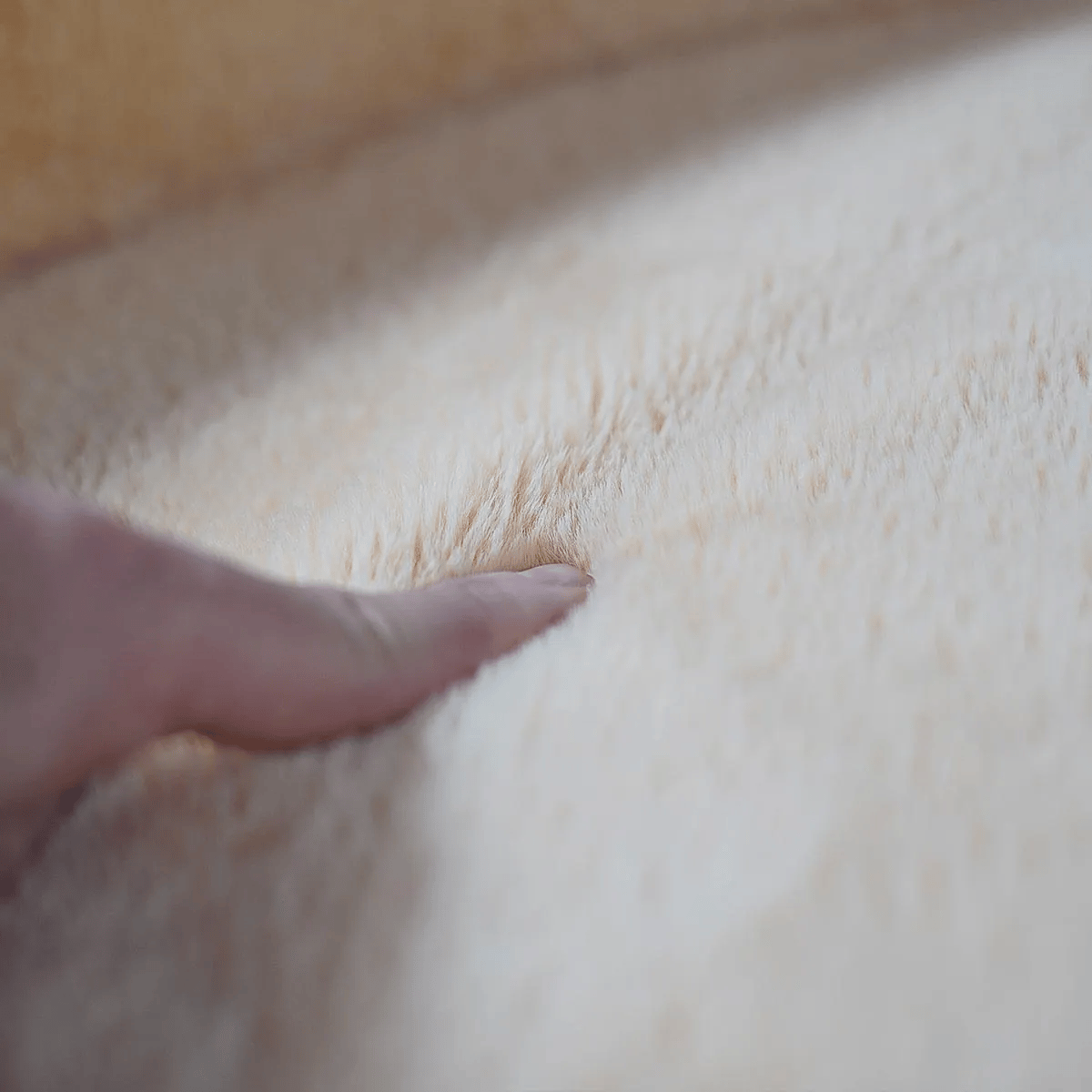 Panier orthopédique Beige