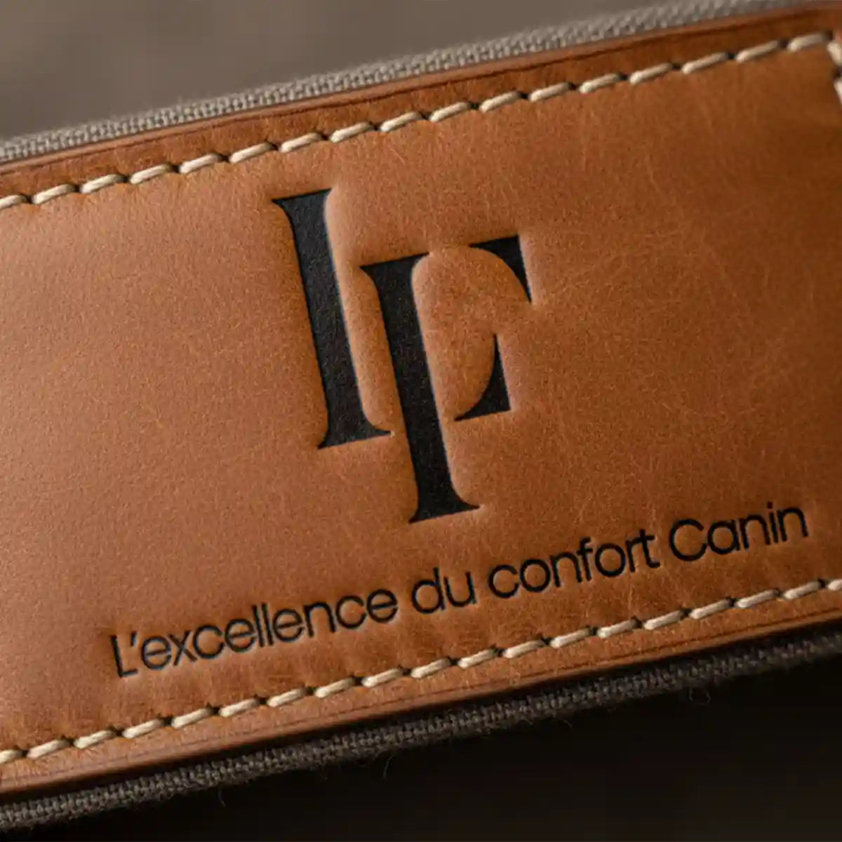 LEFABRE est-elle la nouvelle marque de paniers premium pour les grands chiens ?