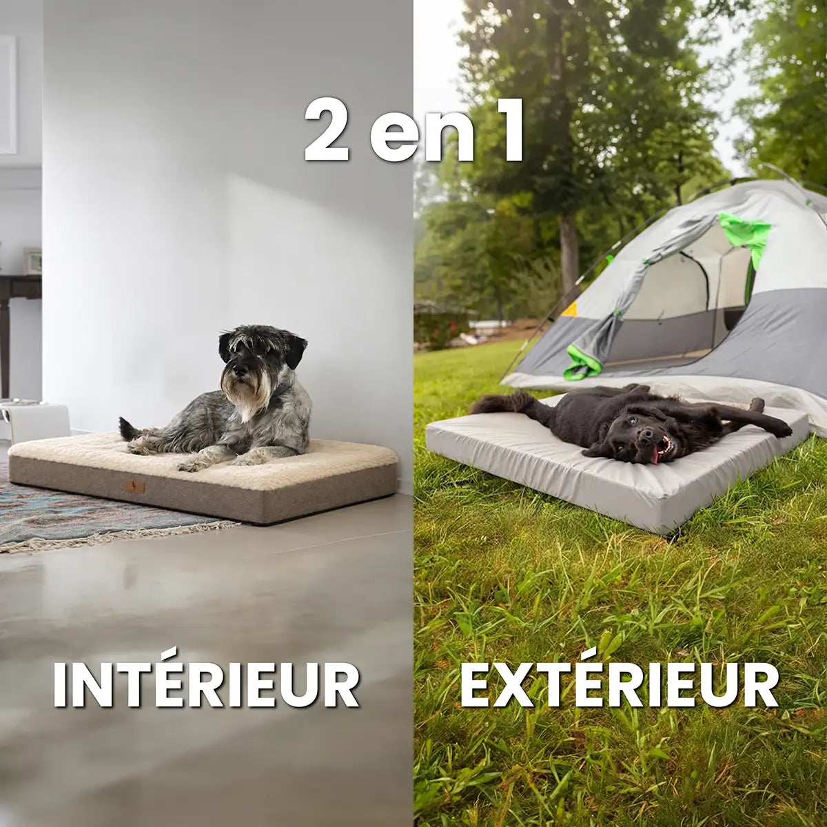 Tapis de voyage pour chien | Travel™