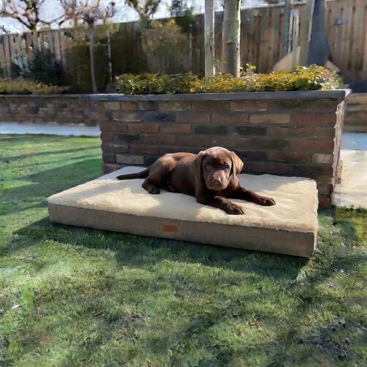 Tapis de voyage pour chien | Travel™